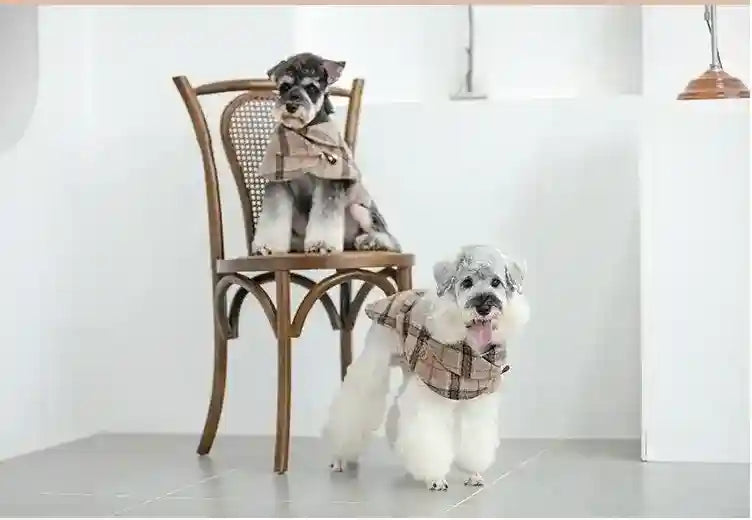 Cappotto per Cani "Filato di Classe" - Eleganza e Comfort per l'Inverno by Dog Moda