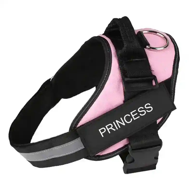 Pettorina per Cani Personalizzabile - Dog Moda