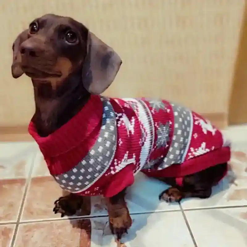 Maglione Natalizio Rosso con Ricamo per Cani – Stile e Comfort per le Feste by Dog Moda