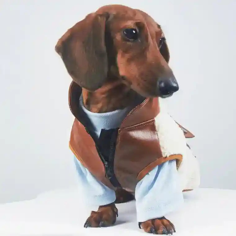 Cappotto Bassotto Cashmere Pile Agnello con Zip Torace by Dog Moda