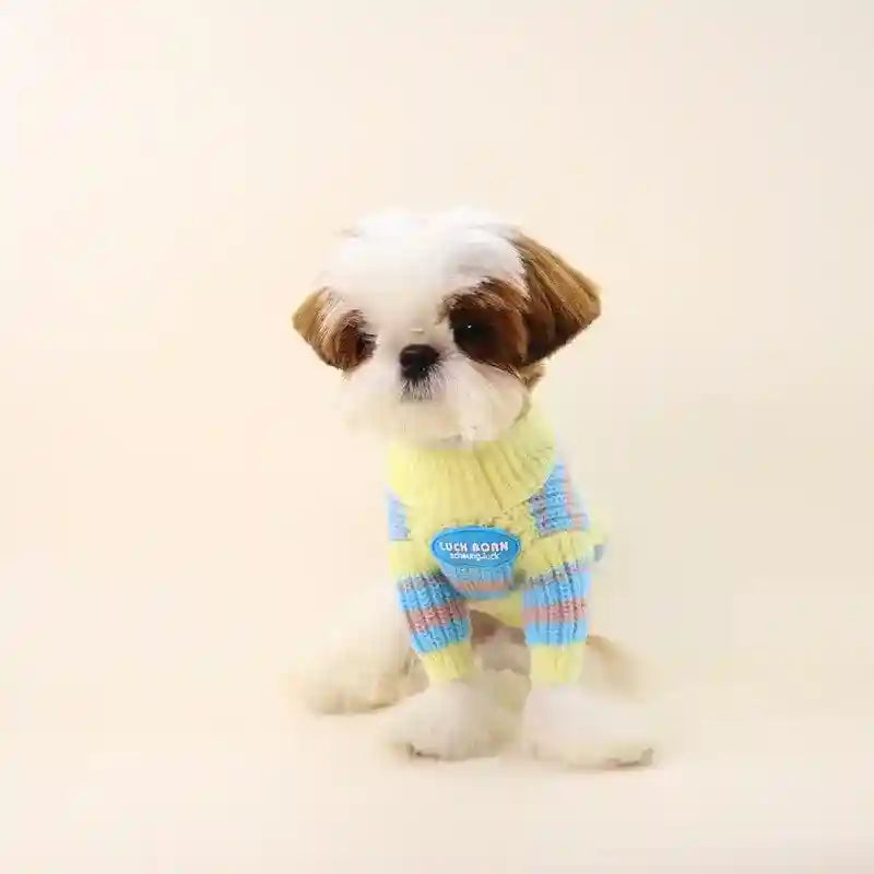 Maglioncino per cani "Abbraccio di Lana" - Dog Moda