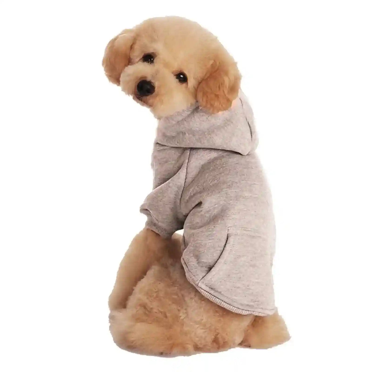 Maglia per Gatti con Cappuccio "Basic" e Taschino by Dog Moda