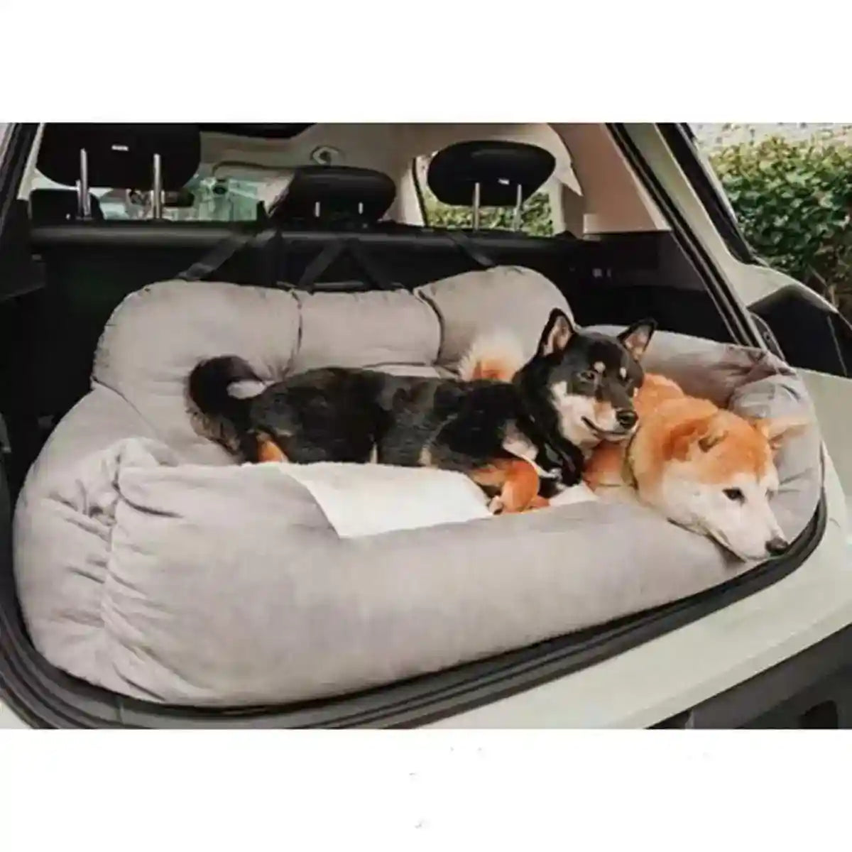 Cuccia per Bagagliaio Auto "Lexus" con Tripla Cintura di Sicurezza by Dog Moda