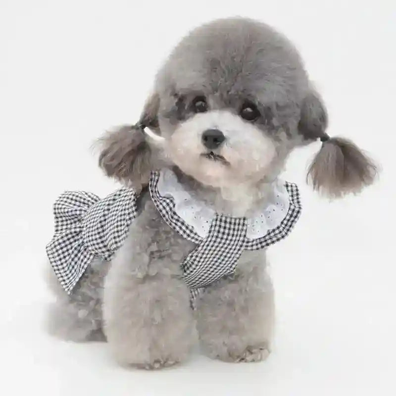 Vestito per Barboncino Toy con Fiocchetto - Modello Ribbon, Eleganza e Comfort by Dog Moda