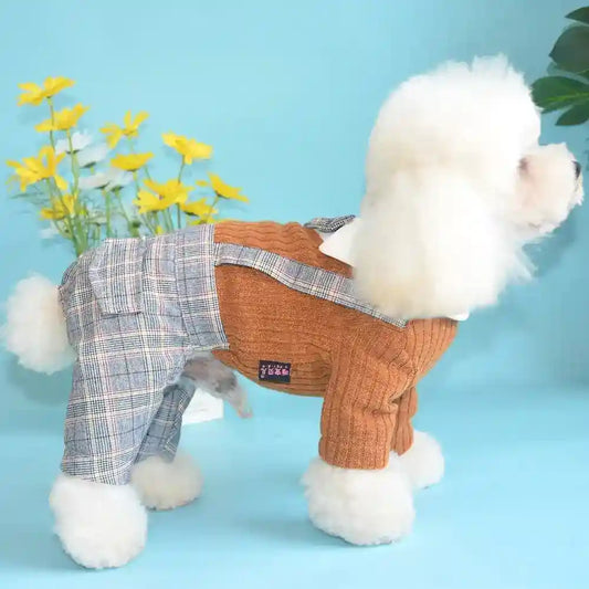 White poodle dog wearing brown knit sweater with plaid suspenders and pants against blue background