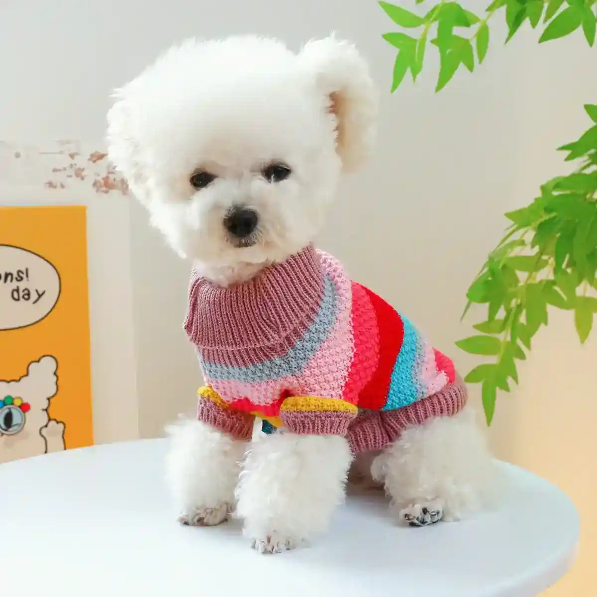 White fluffy dog wearing colorful striped knit sweater sitting on white table indoors with green leaves and cartoon poster background
