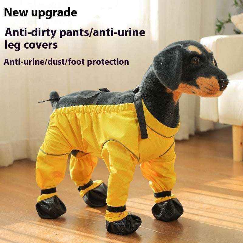 Pantaloni Impermeabili per Cani con Scarpe | Antipioggia e Vento