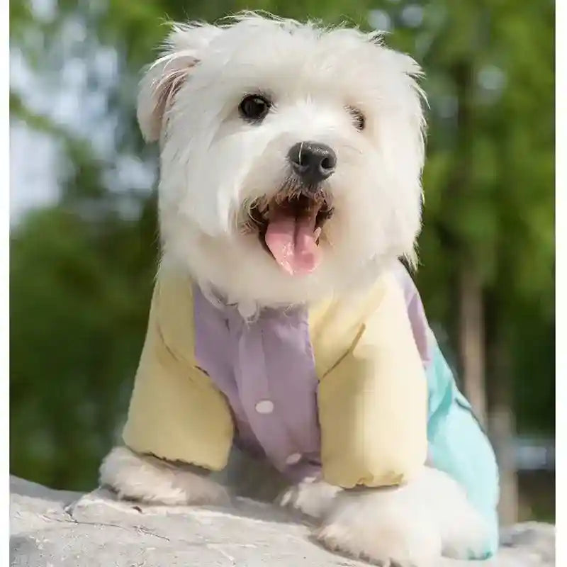 Cappotto Impermeabile Cani Remarkable con Tasca Premietti by Dog Moda