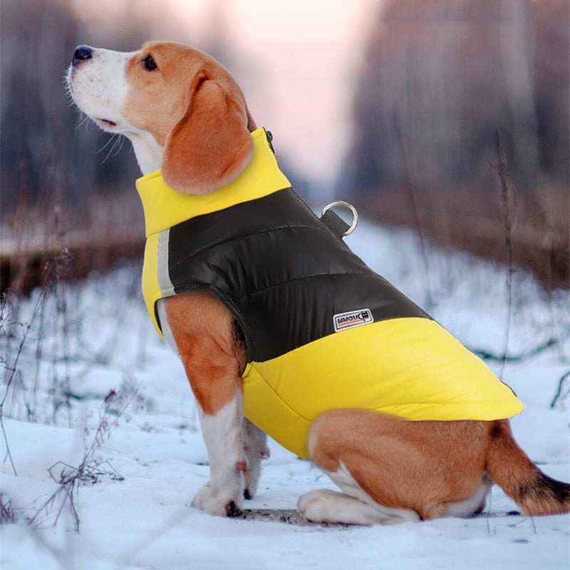 Cappotto per Cani Smanicato "DUOMM" – Comfort, Praticità e Protezione per il Tuo Amico a Quattro Zampe by Innopet