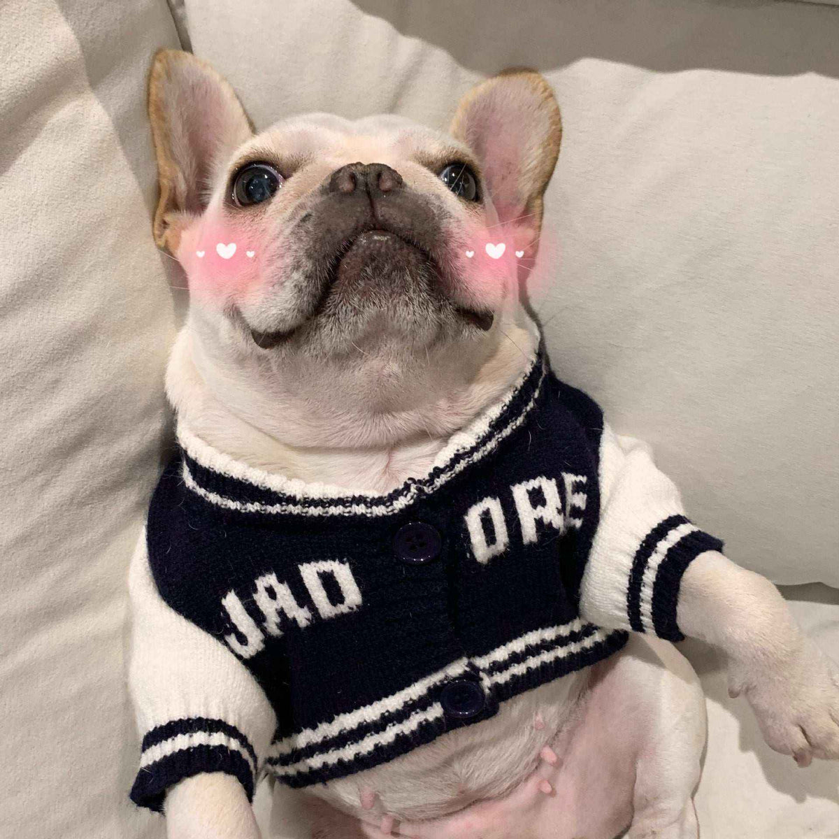 Cappotto per Bulldog "J'adore" – Stile e Comfort per il Tuo Amico a Quattro Zampe! by Dog Moda