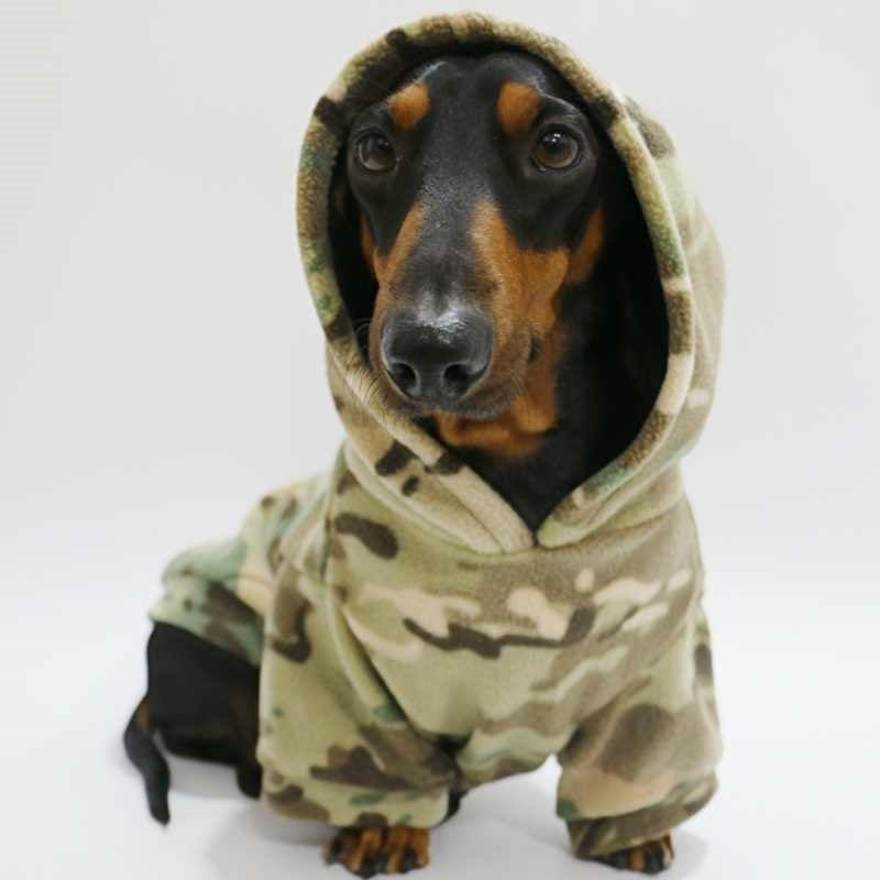 Dachshund Fleece Hoodie with Padded Camo Design