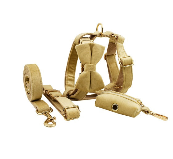 Set Pettorina ad H per Cani Modello "Velvet"