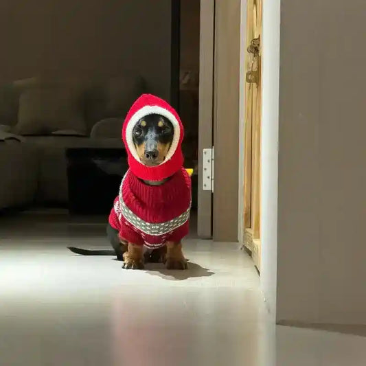Passamontagna per Cani Natalizio - Cappuccio Rosso Babbo Natale by Dog Moda