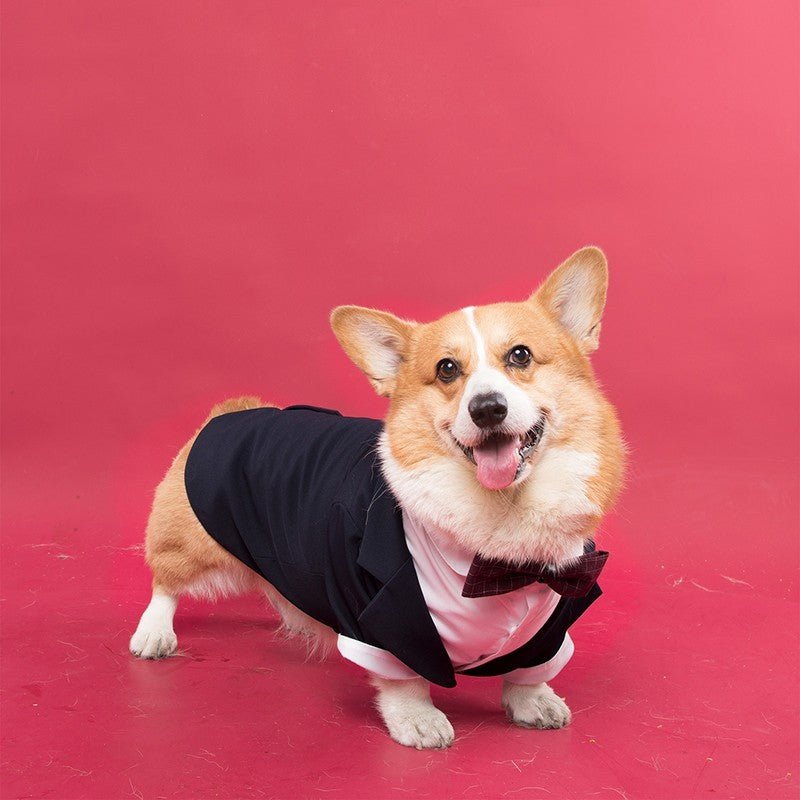 Eleganza Canina per le Nozze vestito da cerimonia per cani grandi - Dog Moda