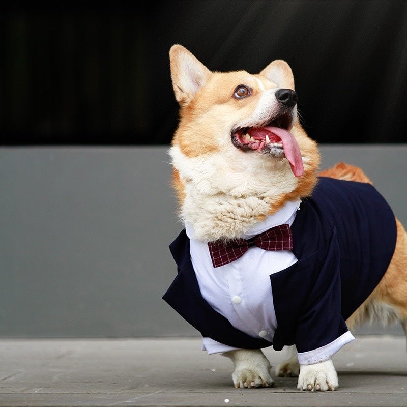 Eleganza Canina per le Nozze vestito da cerimonia per cani grandi - Dog Moda