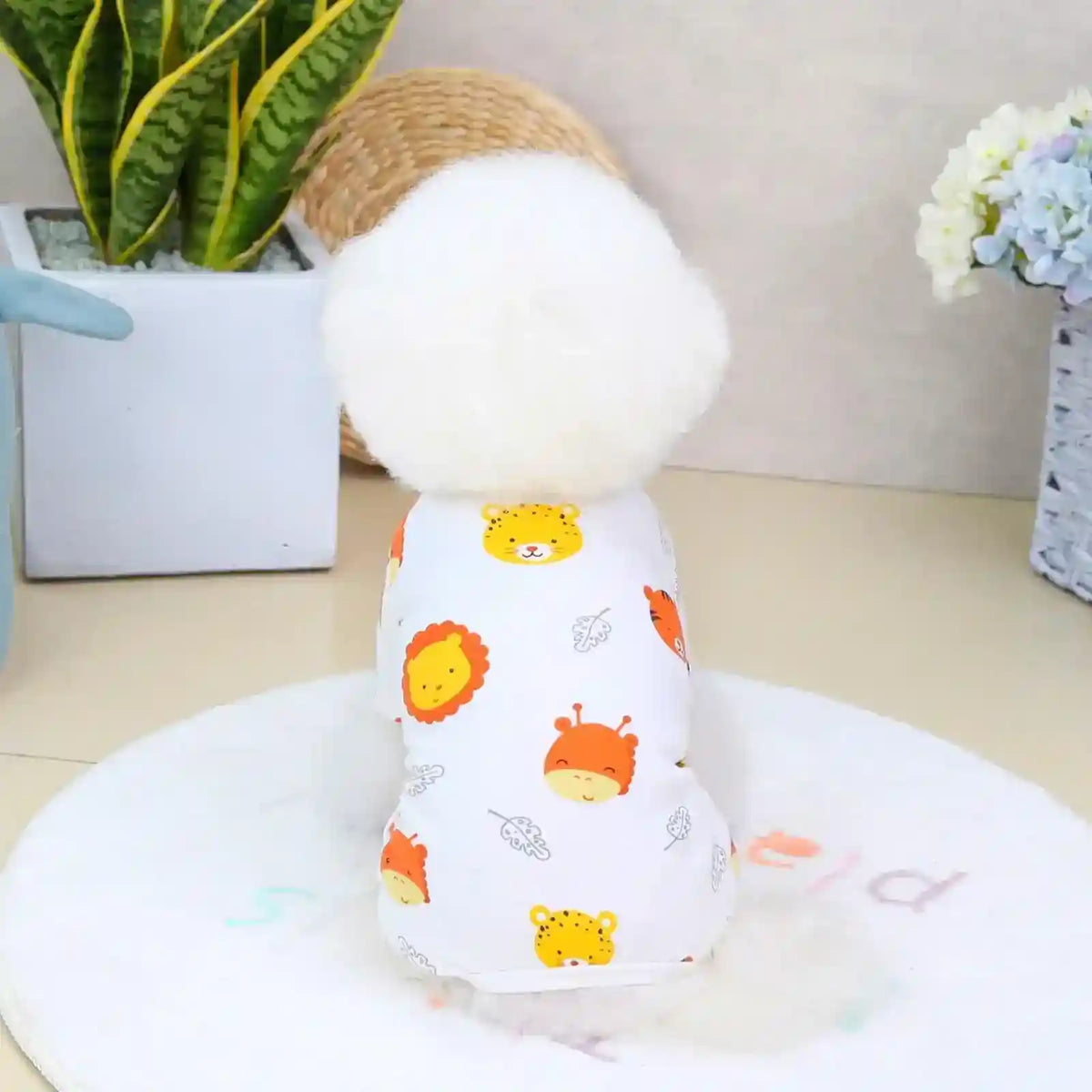 Tutina per cani "Dream Pet" by Dog Moda
