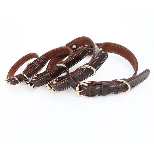 Collare Cani Pelle Marrone - Resistente e Regolabile by Dog Moda
