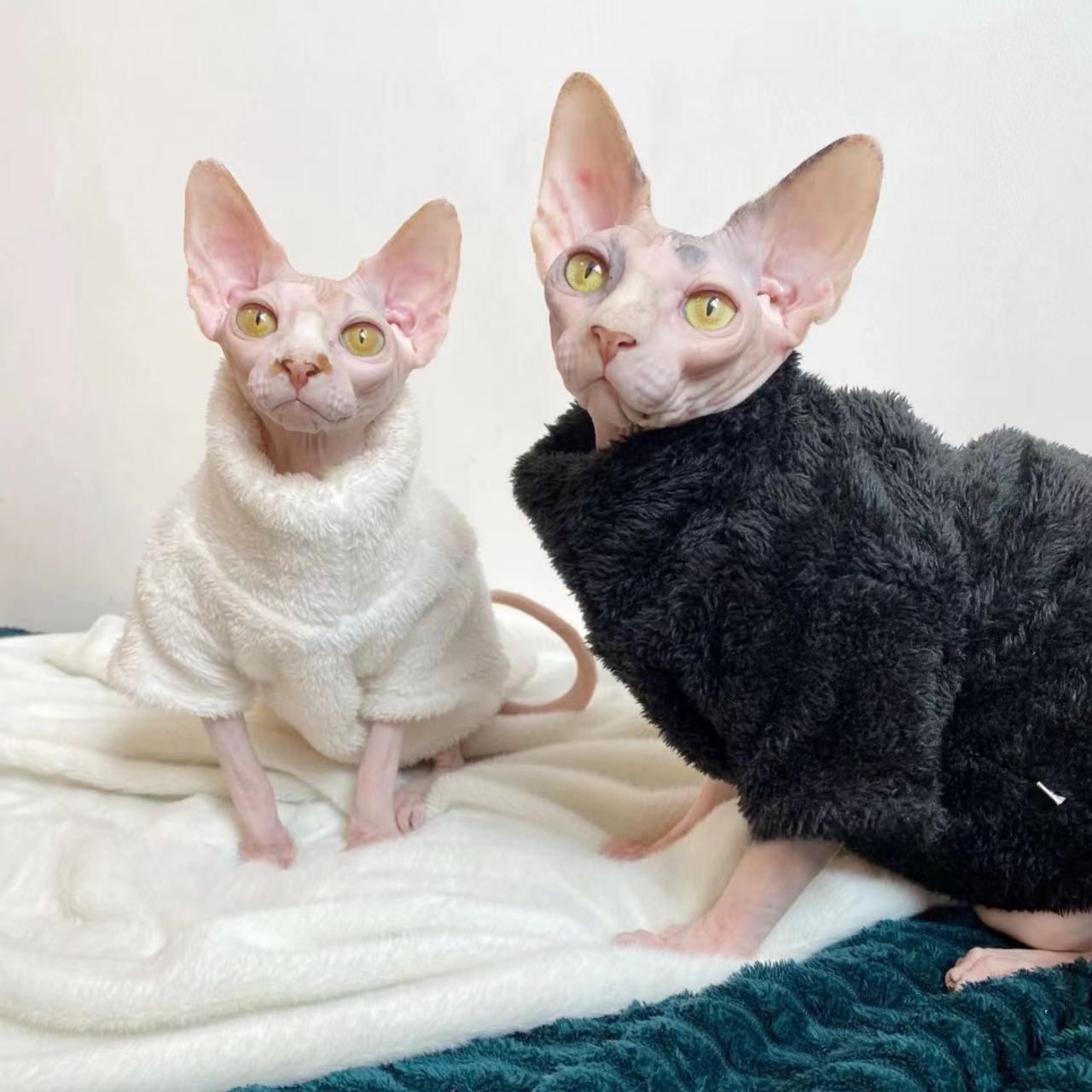 Pile Invernale per Gatti – Giacca Calda in Peluche Bianco o Nero