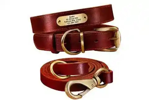 Collare in Cuoio Personalizzato con Targhetta per Cani Medi e Grandi by Dog Moda