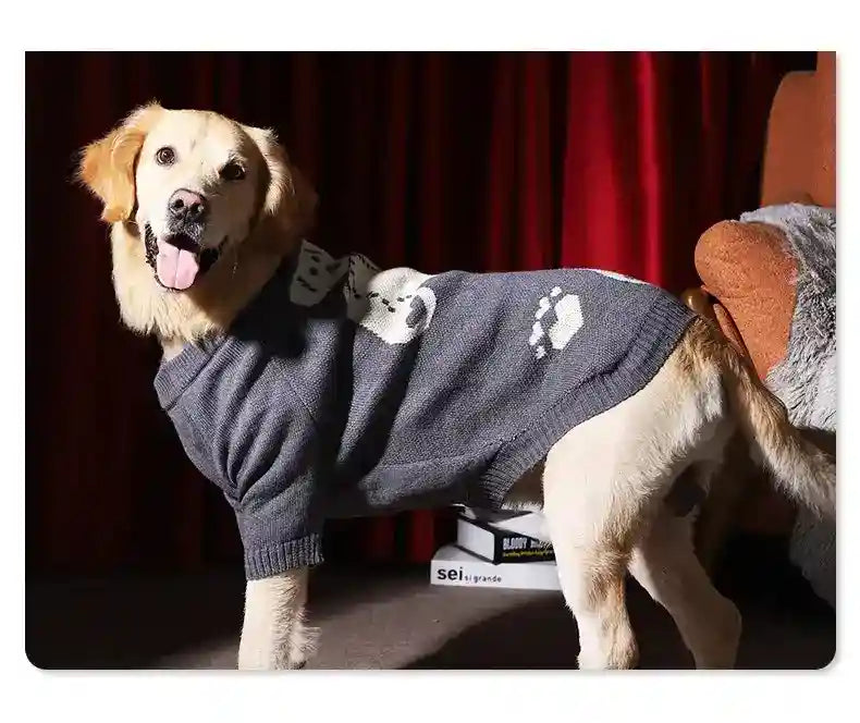 Golden retriever dog wearing a gray sweater with paw print design indoors on carpet