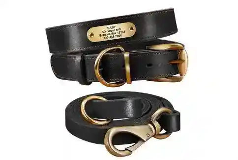 Collare in Cuoio Personalizzato con Targhetta per Cani Medi e Grandi by Dog Moda
