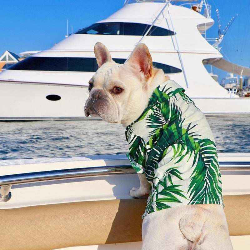 Camicetta per cani "Waikiki" by Dog Moda