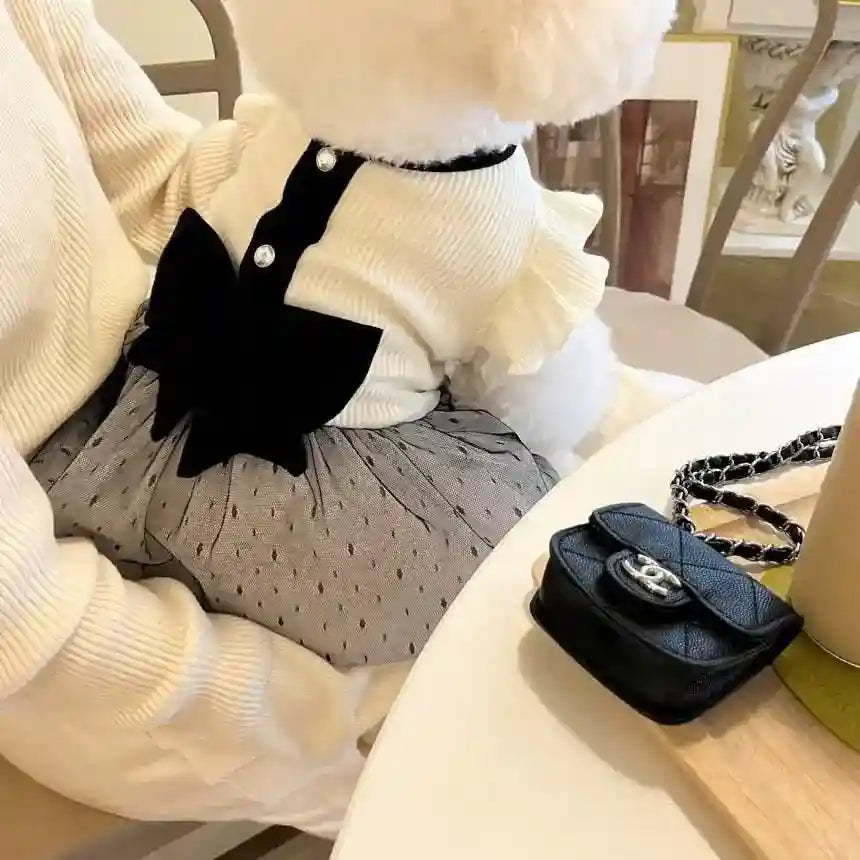 Small white dog in stylish black and white dress sitting on person's lap at white table with black chain purse