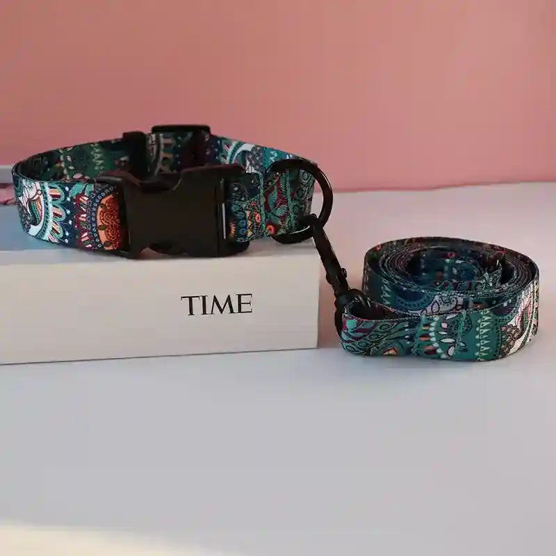 Set collare e guinzaglio per cani con anello "Time" by Dog Moda
