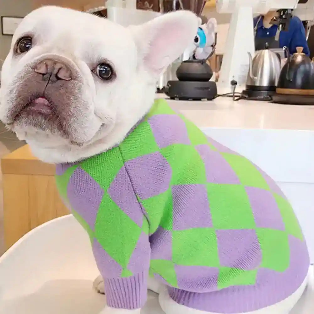 Maglione a Quadri Verdi e Porpora per Bulldog - Dog Moda
