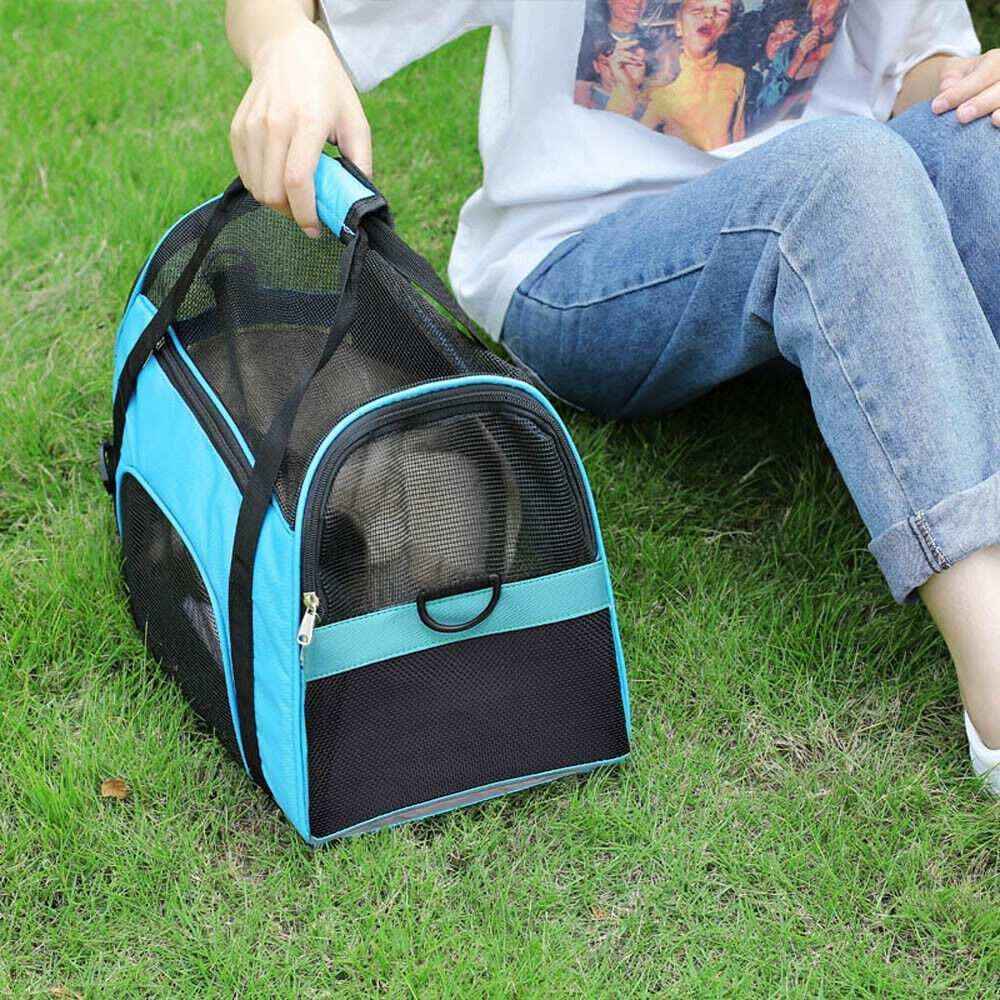 Person sitting on grass holding a blue and black mesh pet carrier with a cat inside