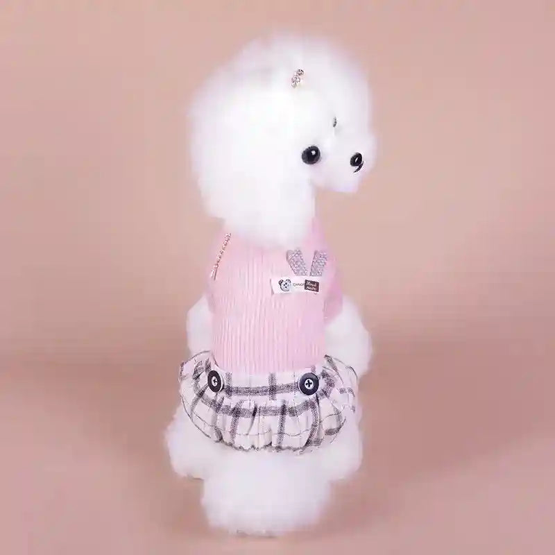 White poodle dog wearing pink sweater and plaid skirt against light brown background