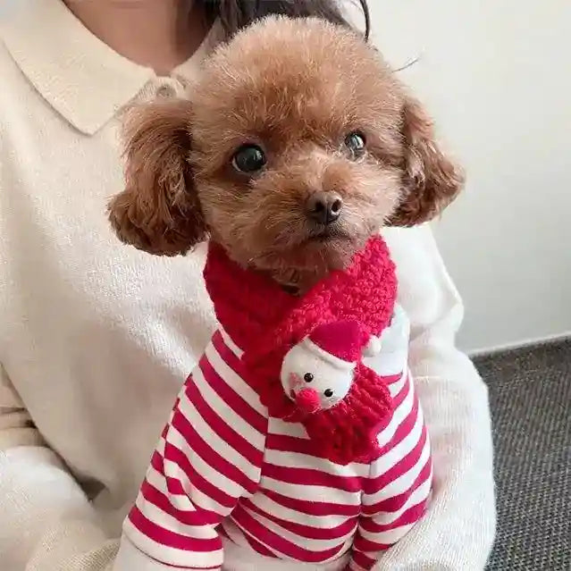Felpa Natalizia per Cani con Sciarpa | Righe Rosse e Bianche con Tasca 3D by Dog Moda