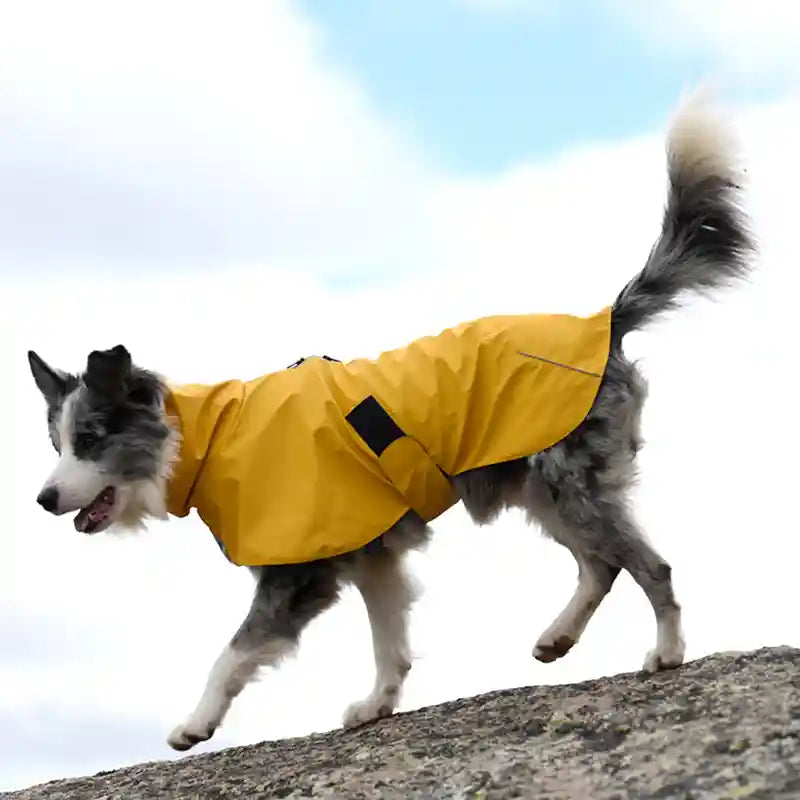 Impermeabile Cani V-Camp - K-Way Antipioggia Collo Alto by Dog Moda