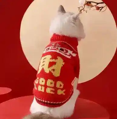 Maglione per Gatti "Pearl" – Comfort, Morbidezza e Stile! ✨ by Dog Moda