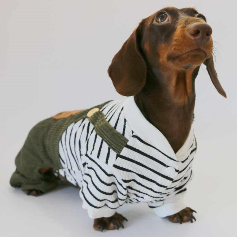 Striped Dachshund Jumpsuit with Suspenders – Casual Fashion