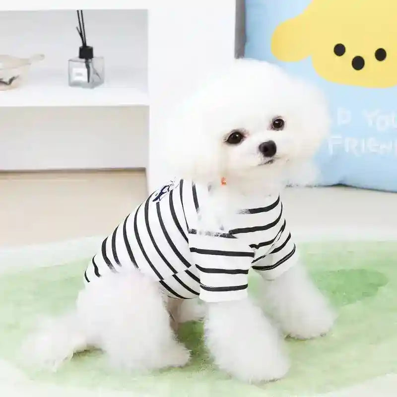 Maglietta per cani e Pomerania "Cotton Candy" by Dog Moda