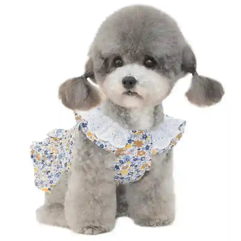 Vestito per Barboncino Toy con Fiocchetto - Modello Ribbon, Eleganza e Comfort by Dog Moda