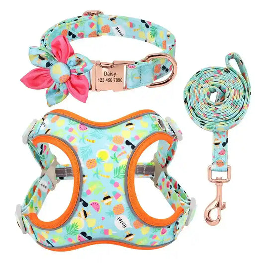 Pettorina per cani "Summer" set completo con collare - Cheepet by Dog Moda