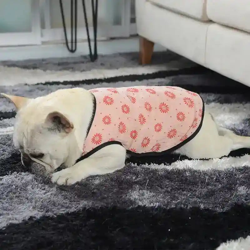 Canottiera per cani "Tofee" – Comfort e stile per il tuo Bulldog Francese by Dog Moda