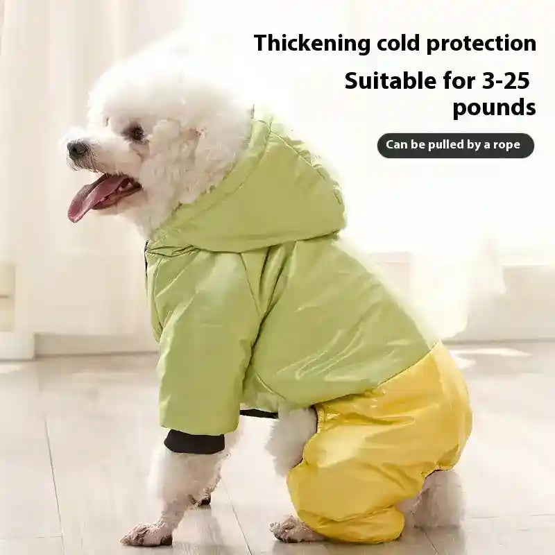 Small white dog wearing green and yellow thickened winter jacket with hood indoors
