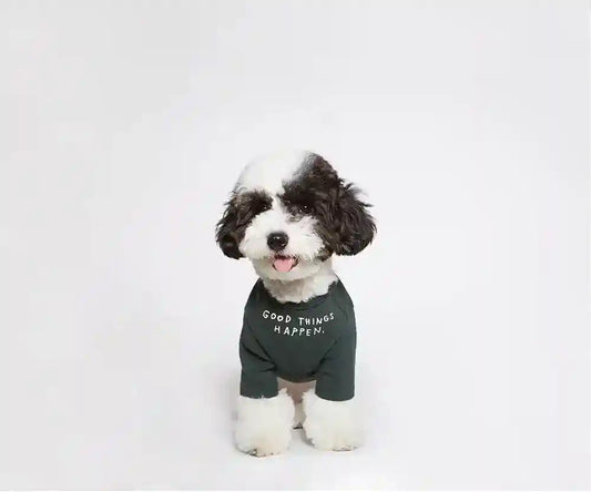 Maglietta in cotone per cani "Le cose belle accadono!" by Dog Moda