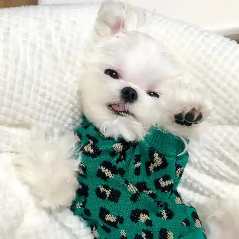 Maglioncino "Leopard Chic" – Eleganza Selvaggia per i Tuoi Cagnolini - Dog Moda