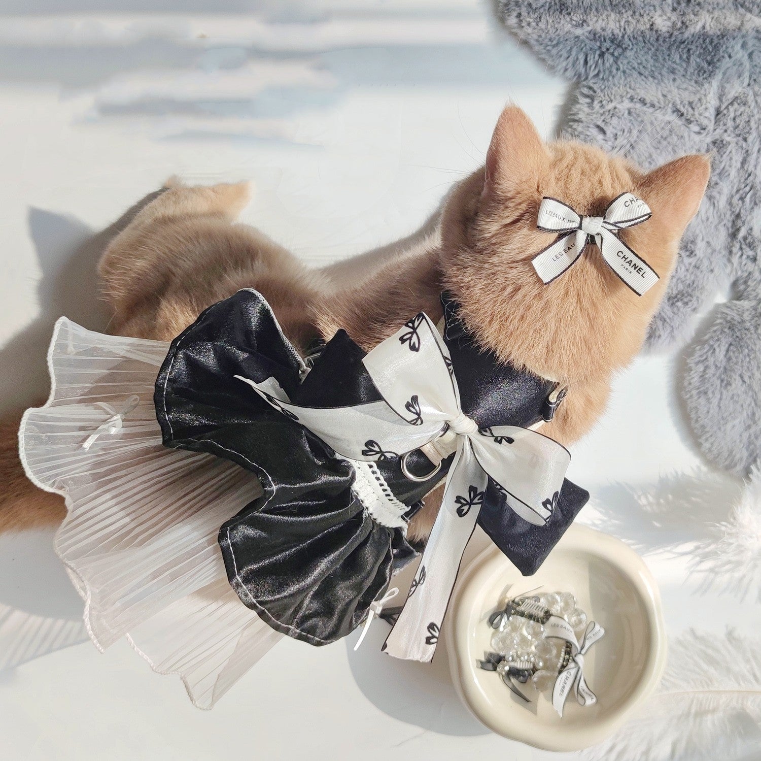 Cat Harness Dress "Glamour Kitty" - Elegant with Bow