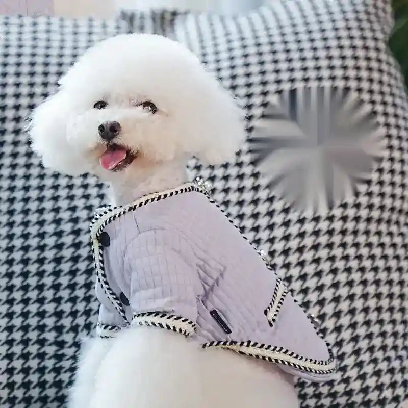 White poodle wearing quilted lavender jacket sitting on black and white houndstooth patterned cushion