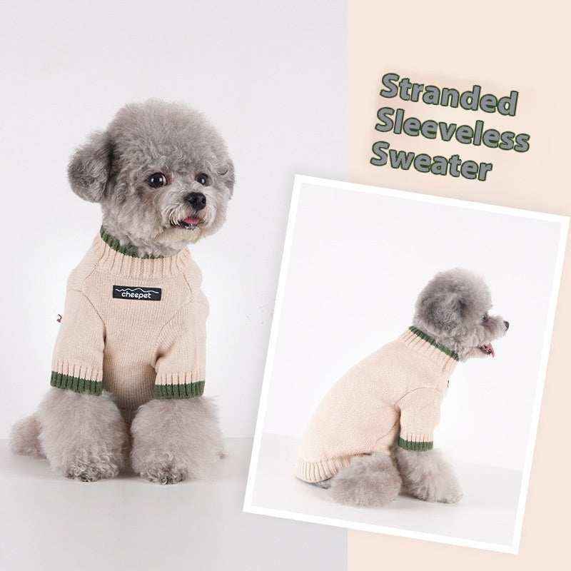 Gray poodle wearing beige sleeveless striped sweater with green collar and sleeve edges