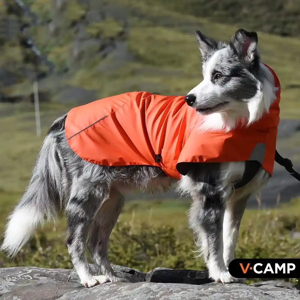 Impermeabile Cani V-Camp - K-Way Antipioggia Collo Alto by Dog Moda