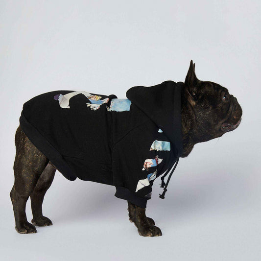 Brindle French Bulldog wearing black graphic hoodie with hood, standing sideways on gray background