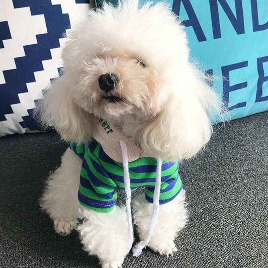 Felpa con Cappuccio "Stripe Style" – Comfort e Stile per Barboncini - Dog Moda