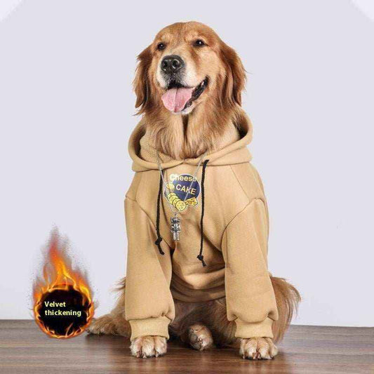 Golden retriever dog wearing beige hooded sweatshirt with cheesecake graphic sitting on wooden floor