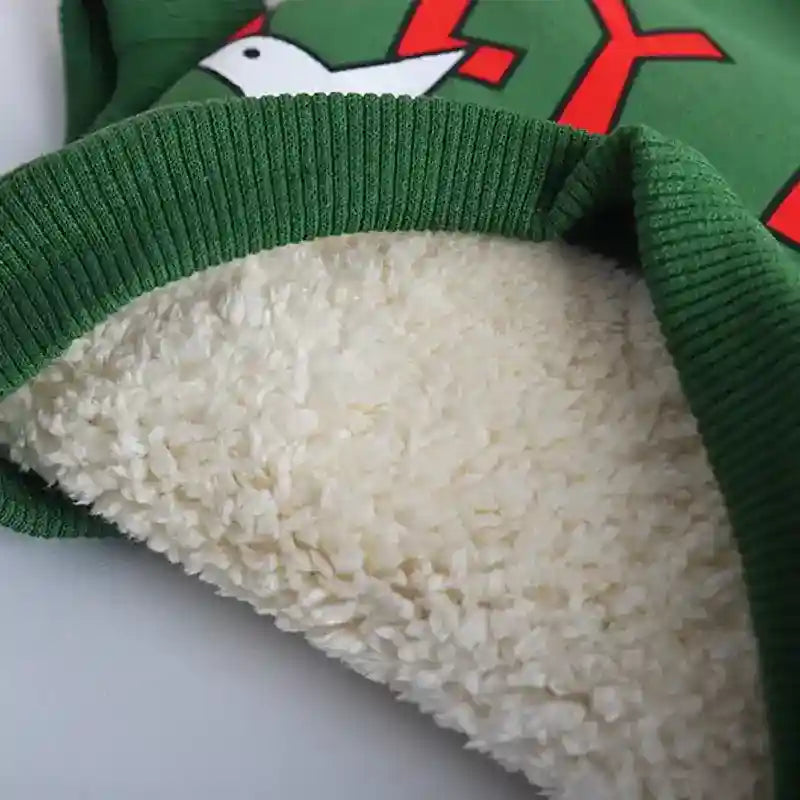 Close-up of green fleece-lined dog sweater with bird print and 'Fly High' text, soft plush interior